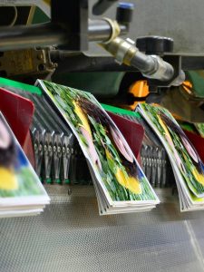 The Evolving Landscape of Newspapers and Magazines: A telugukamakathalu Perspective